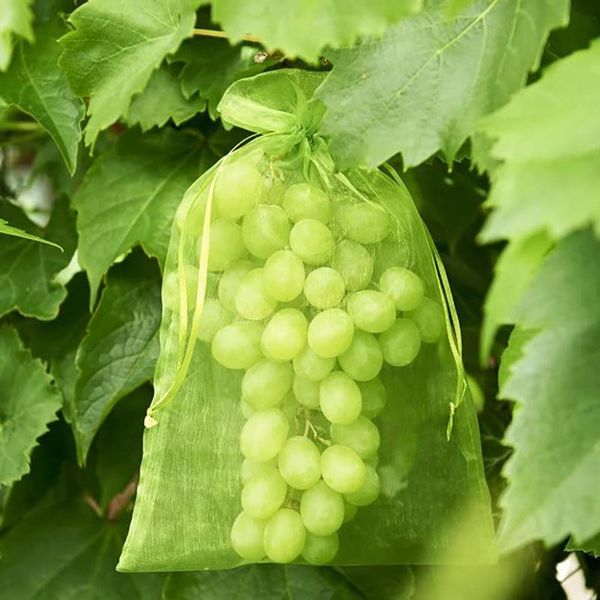 storage bags 100pcs garden vegetable fruit grow bag plants protection anti-bird gardening drawstring netting candy grape mesh pouch
storage bags 100pcs garden vegetable fruit grow bag plants protection anti-bird gardening drawstring netting candy grape mesh pouch