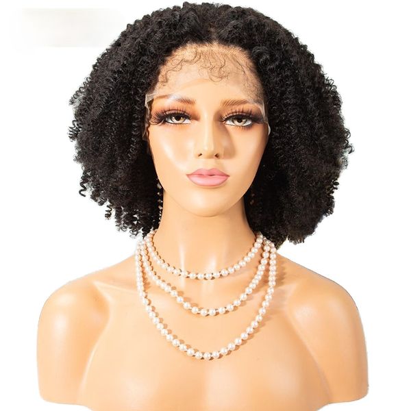 afro kinky curly wig 13x6 lace front human hair wigs pre plucked glueless brazilian remy hair for women black 150 density ishe
afro kinky curly wig 13x6 lace front human hair wigs pre plucked glueless brazilian remy hair for women black 150 density ishe