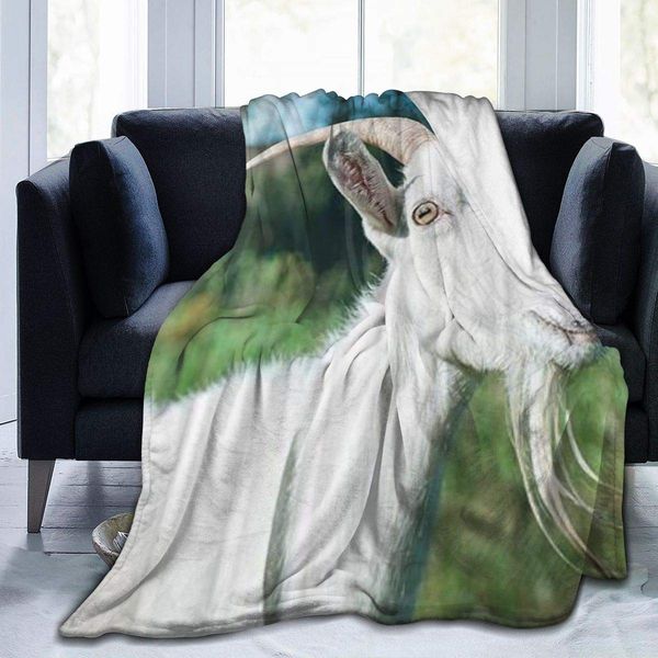 throw blanket for kids teens adults soft warm real goat lovely pet solid-colored gotee green grass beige eyes microfiber all
throw blanket for kids teens adults soft warm real goat lovely pet solid-colored gotee green grass beige eyes microfiber all