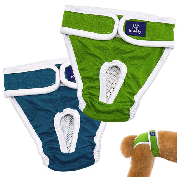 dog diapers physiological pants washable female shorts soft girl dogs pets underwear sanitary panties apparel
dog diapers physiological pants washable female shorts soft girl dogs pets underwear sanitary panties apparel