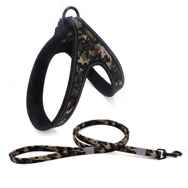 dog nylon harness for outdoor explosion-proof colorful print adjustable pet vest chest leash suit dogs walking run supplies collars & leashe
dog nylon harness for outdoor explosion-proof colorful print adjustable pet vest chest leash suit dogs walking run supplies collars & leashe