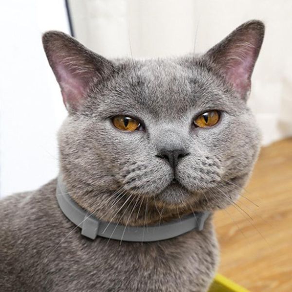 dog collars & leashes anti flea ticks mosquitoes cat collar pet outdoor protective adjustable insect necklace long-term protection
dog collars & leashes anti flea ticks mosquitoes cat collar pet outdoor protective adjustable insect necklace long-term protection