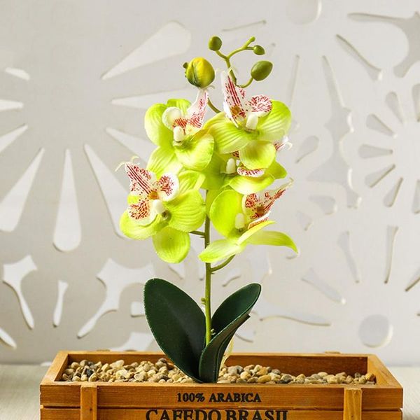 1pc artificial silk white butterfly orchid flowers moth fake flower for wedding party home festival decoration decorative & wreaths
1pc artificial silk white butterfly orchid flowers moth fake flower for wedding party home festival decoration decorative & wreaths
