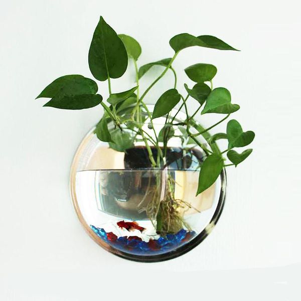 aquariums 4 size for acrylic fish bowl wall hanging aquarium tank aquatic pet supplies products mount betta
aquariums 4 size for acrylic fish bowl wall hanging aquarium tank aquatic pet supplies products mount betta