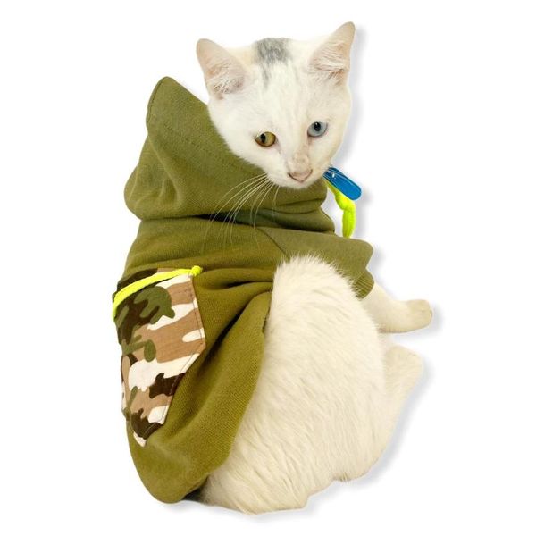 cat costumes athletique green camouflage hoodie, sweatshirt for cats, clothes, fashion
cat costumes athletique green camouflage hoodie, sweatshirt for cats, clothes, fashion