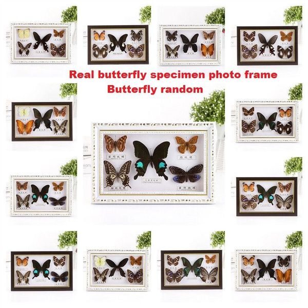 frames 5 real butterfly specimen po frames,home craft decoration, birthday gifts,three-dimensional deskornaments, shooting props
frames 5 real butterfly specimen po frames,home craft decoration, birthday gifts,three-dimensional deskornaments, shooting props