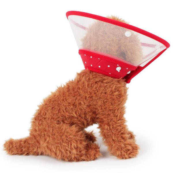 dog collars & leashes anti-bite lick protectors safety cone cat puppy red pet neck collar cover protectives wound healing health circle
dog collars & leashes anti-bite lick protectors safety cone cat puppy red pet neck collar cover protectives wound healing health circle