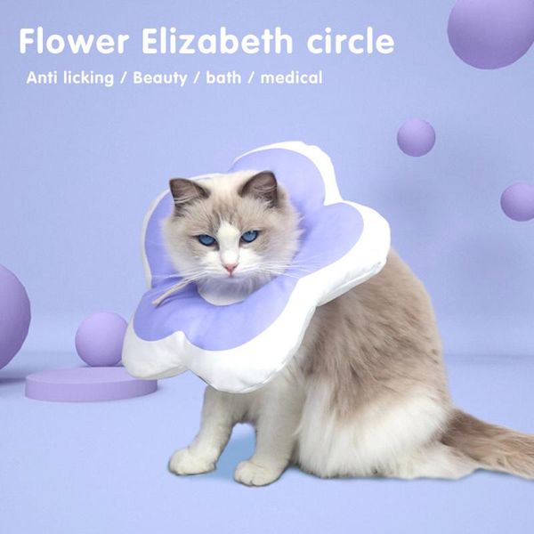 cat collars & leads waterproof adjustable recovery elizabeth circle supplies flower shaped neck cone recover pet protection e-collar purple
cat collars & leads waterproof adjustable recovery elizabeth circle supplies flower shaped neck cone recover pet protection e-collar purple