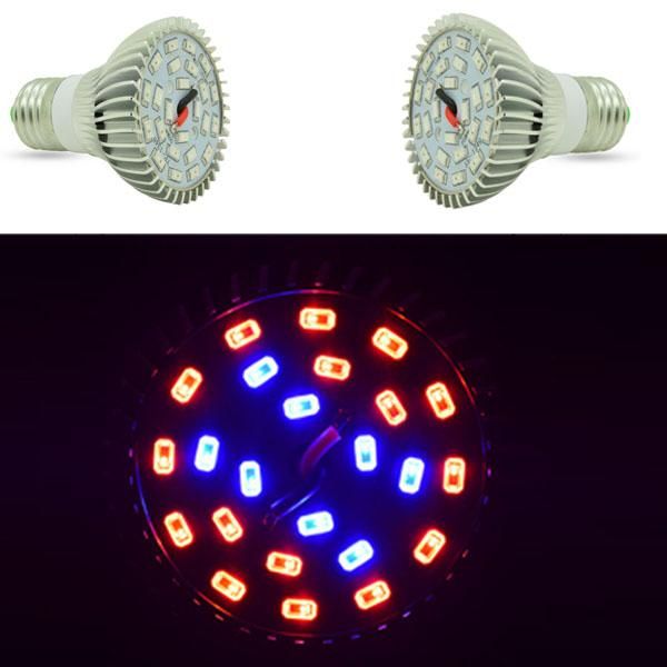 1pcs 24w full spectrum led plant grow lamps e27 horticulture light for garden flowering hydroponics system lights
1pcs 24w full spectrum led plant grow lamps e27 horticulture light for garden flowering hydroponics system lights