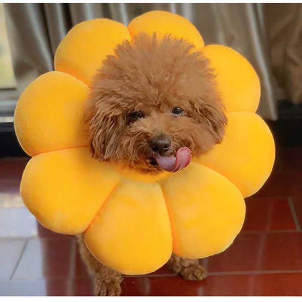 cat collars & leads anti-biting adjustable sunflower headgear funny pet collar soft puppy protects neck accessories supplies
cat collars & leads anti-biting adjustable sunflower headgear funny pet collar soft puppy protects neck accessories supplies