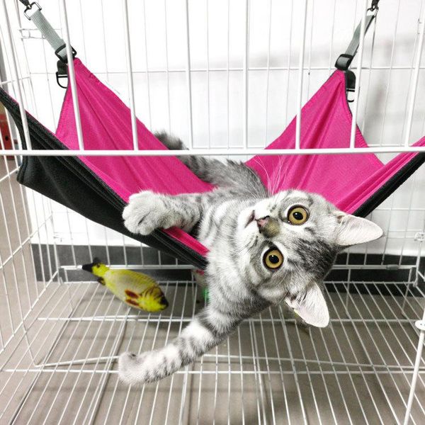 cat hammock double hanging pet beds guinea pig bed hamster mouse squirrel products for pets & furniture
cat hammock double hanging pet beds guinea pig bed hamster mouse squirrel products for pets & furniture