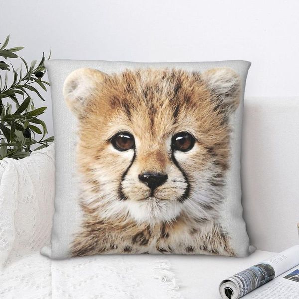 cushion/decorative pillow baby cheetah throw case short plus cushion covers for home sofa chair decorative backpack
cushion/decorative pillow baby cheetah throw case short plus cushion covers for home sofa chair decorative backpack