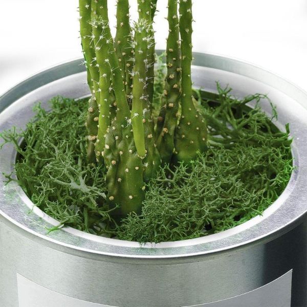decorative flowers & wreaths artificial fake flower moss grass green home micro material accessories wall decor landscape plant
decorative flowers & wreaths artificial fake flower moss grass green home micro material accessories wall decor landscape plant