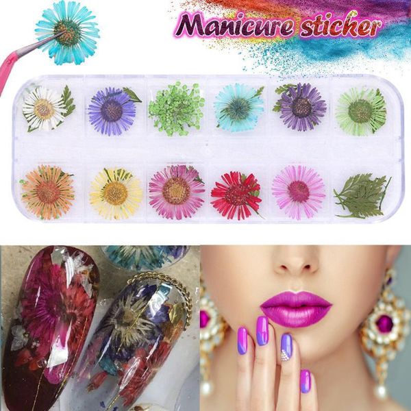 colors 3d nail decoration real dry dried flower for uv gel acrylic art tips decorazioni unghie nailart deco ongle1, Silver;gold
colors 3d nail decoration real dry dried flower for uv gel acrylic art tips decorazioni unghie nailart deco ongle1, Silver;gold