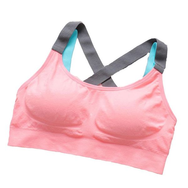 sports bra cross straps underwear for fitness women push up yoga running gym active wear padded crop outfit
sports bra cross straps underwear for fitness women push up yoga running gym active wear padded crop outfit