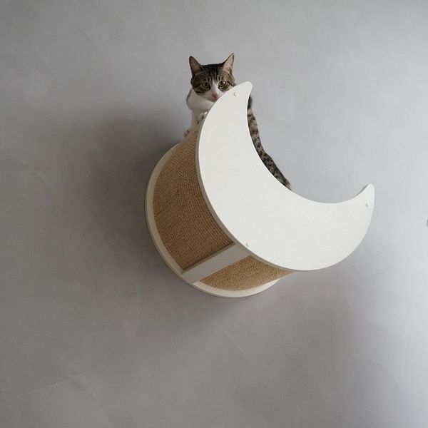 cat toys furniture wall series bed wooden stable litter pet supplies 
cat toys furniture wall series bed wooden stable litter pet supplies