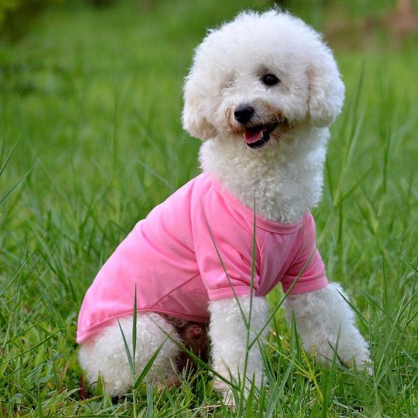 dog apparel pet shirt summer clothes for dogs cute clothing small medium f09 
dog apparel pet shirt summer clothes for dogs cute clothing small medium f09