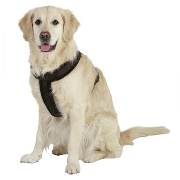 dog collars & leashes m/l/xl pet harness nylon adjustable safety control restraint cat puppy soft walk vest large blue red black
dog collars & leashes m/l/xl pet harness nylon adjustable safety control restraint cat puppy soft walk vest large blue red black