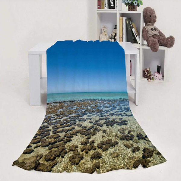 a portrait of stromatolites at bay stromatolite,throw blanket soft fuzzy microfiber sofa couch blanket ningaloo reef
a portrait of stromatolites at bay stromatolite,throw blanket soft fuzzy microfiber sofa couch blanket ningaloo reef