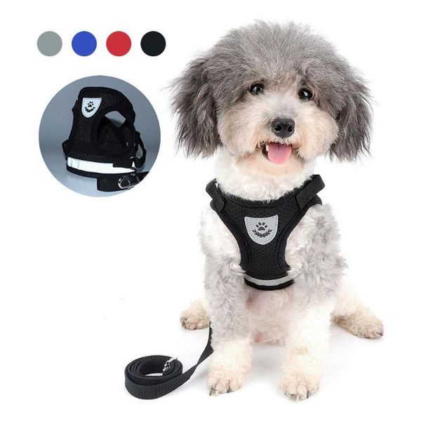 dog collars & leashes reflective harness leash for dogs adjustable vest pet products and harnesses chihuahua pug small medium
dog collars & leashes reflective harness leash for dogs adjustable vest pet products and harnesses chihuahua pug small medium