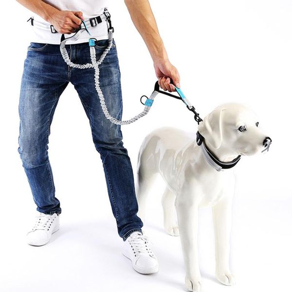 pet adjustable hand leash waistband design dog walking running jogging control belt chest strap hands collars & leashes
pet adjustable hand leash waistband design dog walking running jogging control belt chest strap hands collars & leashes