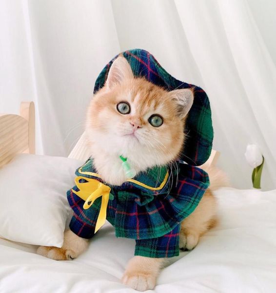 cat clothing costumes 
cat clothing costumes