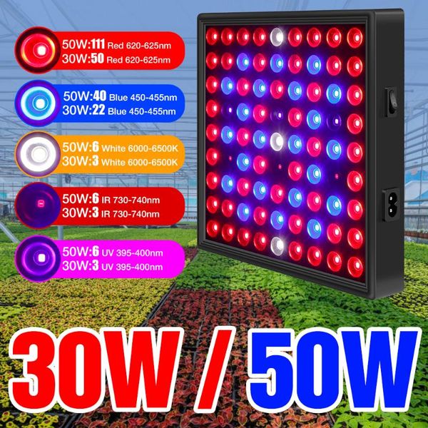 grow light panel 30w 50w plant lights full spectrum fitolamp indoor phyto lamp for hydroponics flower seed 2835 smd
grow light panel 30w 50w plant lights full spectrum fitolamp indoor phyto lamp for hydroponics flower seed 2835 smd