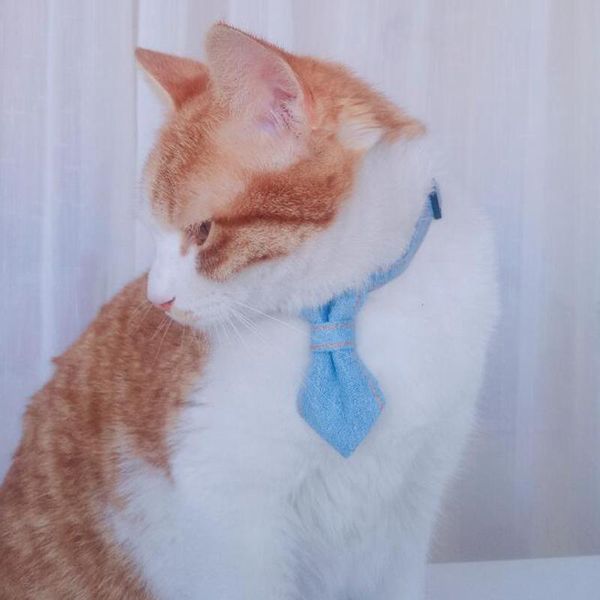 cat collars & leads breakaway collar and dog detachable adjustable bow tie soft &comfy pet gift for cats dogs 2 size
cat collars & leads breakaway collar and dog detachable adjustable bow tie soft &comfy pet gift for cats dogs 2 size