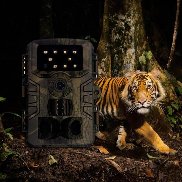 cameras 1080p standalone outdoor ip66 waterproof hunting camera wide life surveillance trail video recorder night vision pr700
cameras 1080p standalone outdoor ip66 waterproof hunting camera wide life surveillance trail video recorder night vision pr700