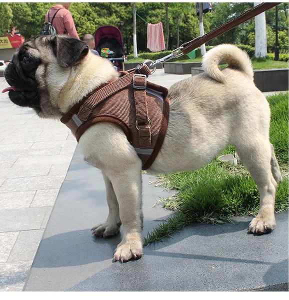 dog harnesses soft mesh corduroy chest strap suit harness with leash rope set collars & leashes
dog harnesses soft mesh corduroy chest strap suit harness with leash rope set collars & leashes