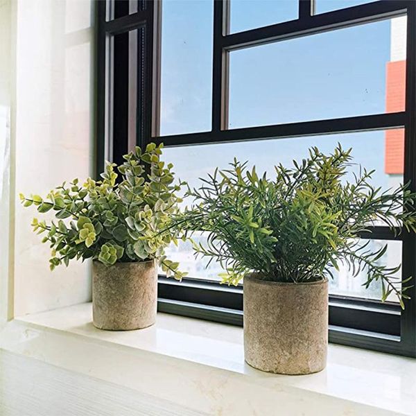 decorative flowers & wreaths artificial plastic plant mini fake eucalyptus rosemary gypsophila plants for home office desk decor 3 pack
decorative flowers & wreaths artificial plastic plant mini fake eucalyptus rosemary gypsophila plants for home office desk decor 3 pack
