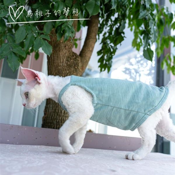 cat costumes sling hairless clothes tianzhu cotton breathable air-conditioning suit summer matcha
cat costumes sling hairless clothes tianzhu cotton breathable air-conditioning suit summer matcha