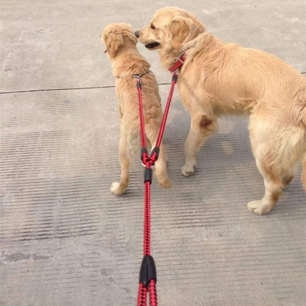 leash nylon double dual two pets dogs 2 way coupler walk necklace collars harnesses leads cat
leash nylon double dual two pets dogs 2 way coupler walk necklace collars harnesses leads cat