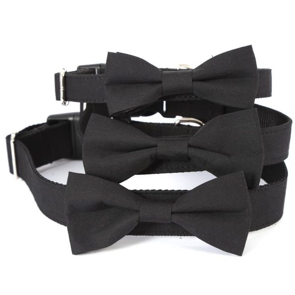 black western-style wedding pet collar dog removable and detachable bowknot products adjustable size collars & leashes
black western-style wedding pet collar dog removable and detachable bowknot products adjustable size collars & leashes