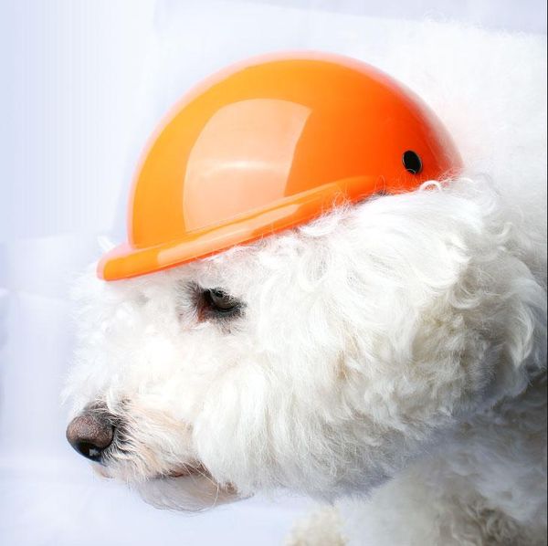 dog apparel helmets motorcycle diy pet hats abs accessories safety protect head outdoor sports for chihuahua teddy
dog apparel helmets motorcycle diy pet hats abs accessories safety protect head outdoor sports for chihuahua teddy