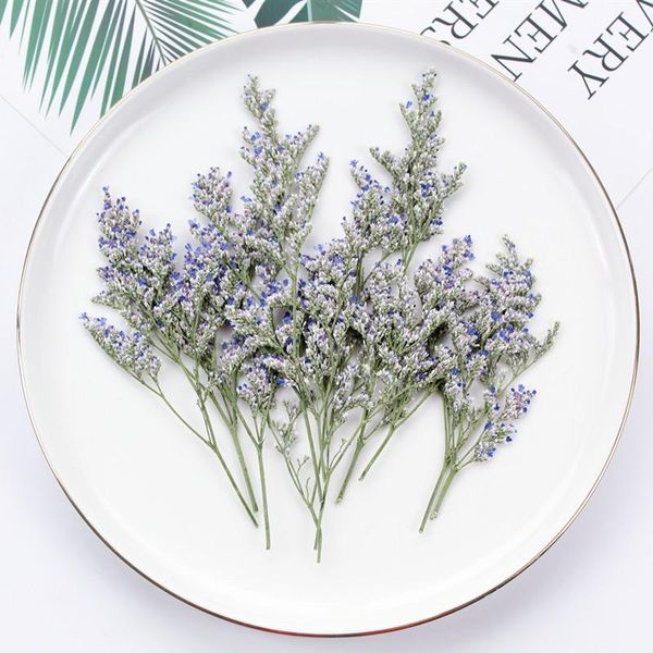 decorative flowers & wreaths 6pcs/lot dried natural pressed statice sinuate l 6-10cm lovers' for making wedding invitation card diy cr
decorative flowers & wreaths 6pcs/lot dried natural pressed statice sinuate l 6-10cm lovers' for making wedding invitation card diy cr