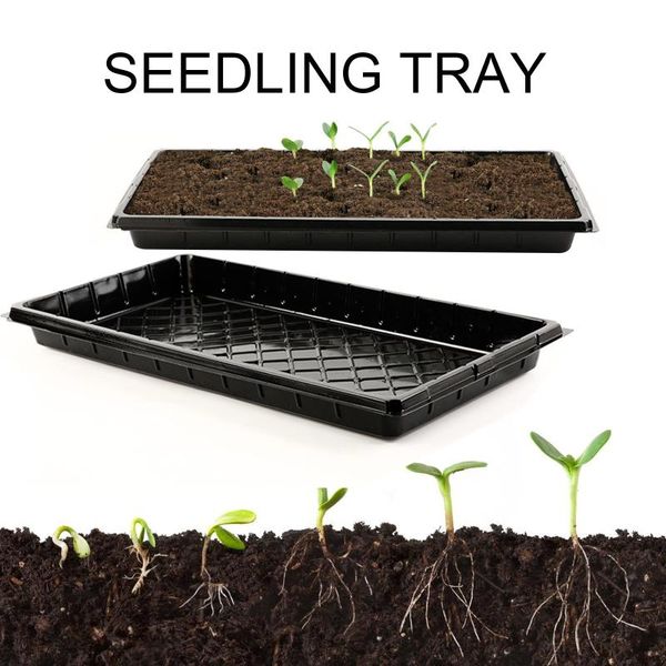 strong seed starting plant growing trays (without holes) - durable, reusable green succulent plants pot grow box #t1p planters & pots
strong seed starting plant growing trays (without holes) - durable, reusable green succulent plants pot grow box #t1p planters & pots