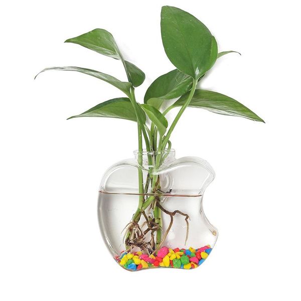 vases transparent glass wall mounted minimalist container home decor office seamless flower stick on magic modern removable diy
vases transparent glass wall mounted minimalist container home decor office seamless flower stick on magic modern removable diy