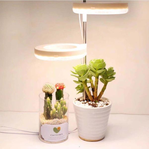 round plant growth lamp dc 5v usb dimmable indoor potted supplement light full spectrum sunlight replacement grow lights 
round plant growth lamp dc 5v usb dimmable indoor potted supplement light full spectrum sunlight replacement grow lights