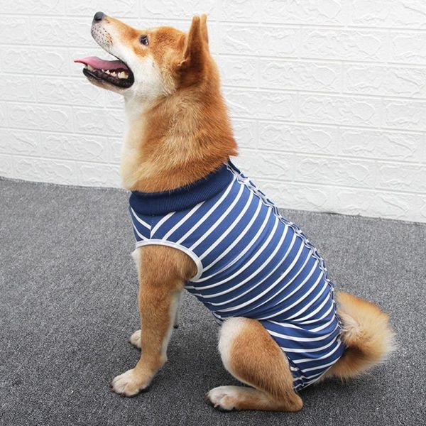 dog apparel pet clothes recovery suit breathable physiological clothing for puppy weaning outfit #
dog apparel pet clothes recovery suit breathable physiological clothing for puppy weaning outfit #