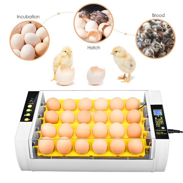 chicken duck eggs incubator fully automatic led light digital turning w/candler 220v air purifiers
chicken duck eggs incubator fully automatic led light digital turning w/candler 220v air purifiers