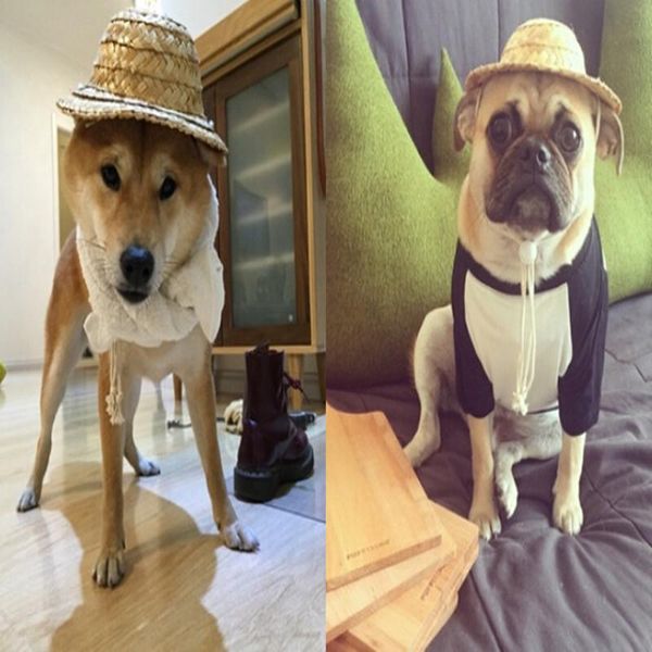 dog apparel handcrafted woven hawaii style adjustable pets puppy caps cute straw hat pet accessories
dog apparel handcrafted woven hawaii style adjustable pets puppy caps cute straw hat pet accessories