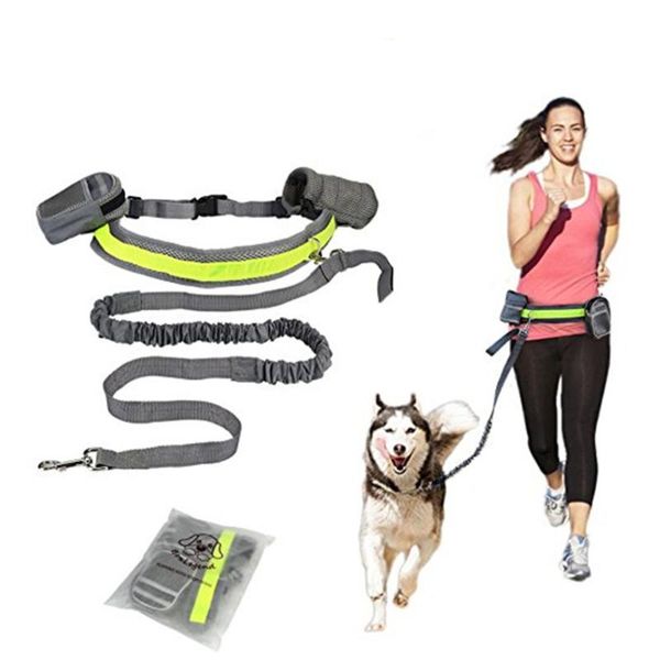 dog collars & leashes hands leash for dogs reflective leads outdoor running elasticity pet hand y walking training
dog collars & leashes hands leash for dogs reflective leads outdoor running elasticity pet hand y walking training
