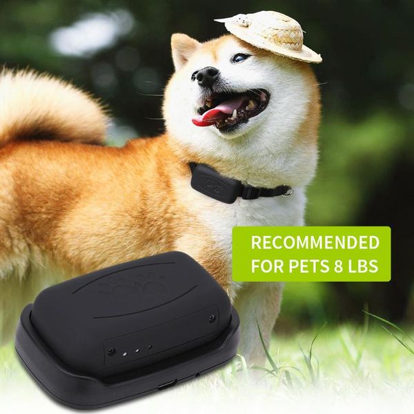 dog collars & leashes gps tracker gsm waterproof ip65 geofence google track for cat collar voice monitor mini locator app
dog collars & leashes gps tracker gsm waterproof ip65 geofence google track for cat collar voice monitor mini locator app