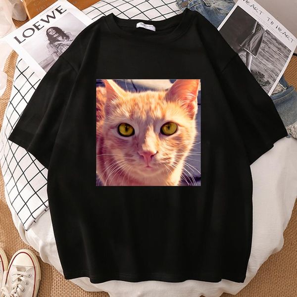 women's t-shirt cute cats print oversized woman o neck 2021 casual short sleeve tee fashion s-xxxl big size female graphic t shirts, White
women's t-shirt cute cats print oversized woman o neck 2021 casual short sleeve tee fashion s-xxxl big size female graphic t shirts, White