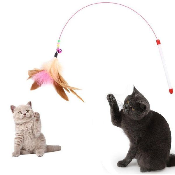 cat toys fun kitten toy for cats interactive feather bell wand teaser rod bead play pet ball games 1pcs wire e11
cat toys fun kitten toy for cats interactive feather bell wand teaser rod bead play pet ball games 1pcs wire e11