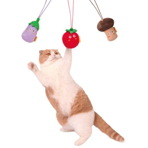 cat toys interactive toy catnip hanging self entertaining kitten playing with string pet supplies teaser
cat toys interactive toy catnip hanging self entertaining kitten playing with string pet supplies teaser