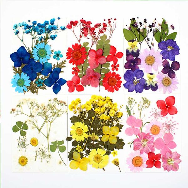 decorative flowers & wreaths 10 pack pressed flower real material petal makeup herbarium bookmark
decorative flowers & wreaths 10 pack pressed flower real material petal makeup herbarium bookmark