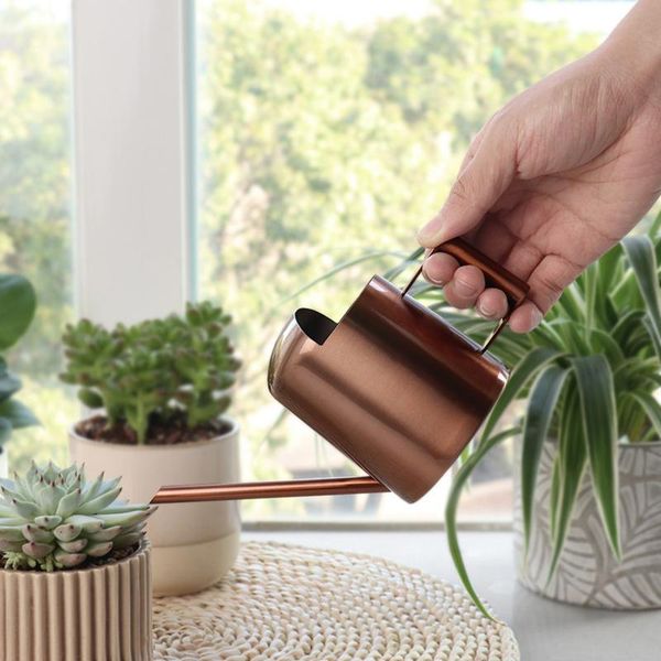watering equipments stainless steel can indoor outdoor long spout water retro gardening tools mini house garden plants
watering equipments stainless steel can indoor outdoor long spout water retro gardening tools mini house garden plants
