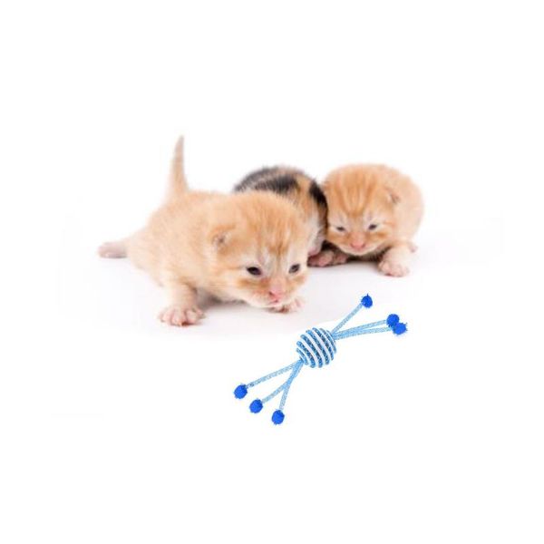 cat toys 2/5pcs/lot pet grinding toy ball rotatable cartoon for cats plastic rope dog interactive bell kitten
cat toys 2/5pcs/lot pet grinding toy ball rotatable cartoon for cats plastic rope dog interactive bell kitten